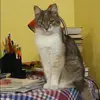 Отзыв от Надежда Дорофеева